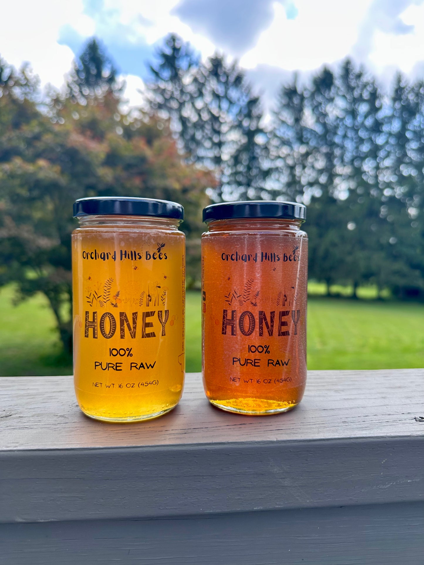 Raw Local Honey (Pickup Only!)