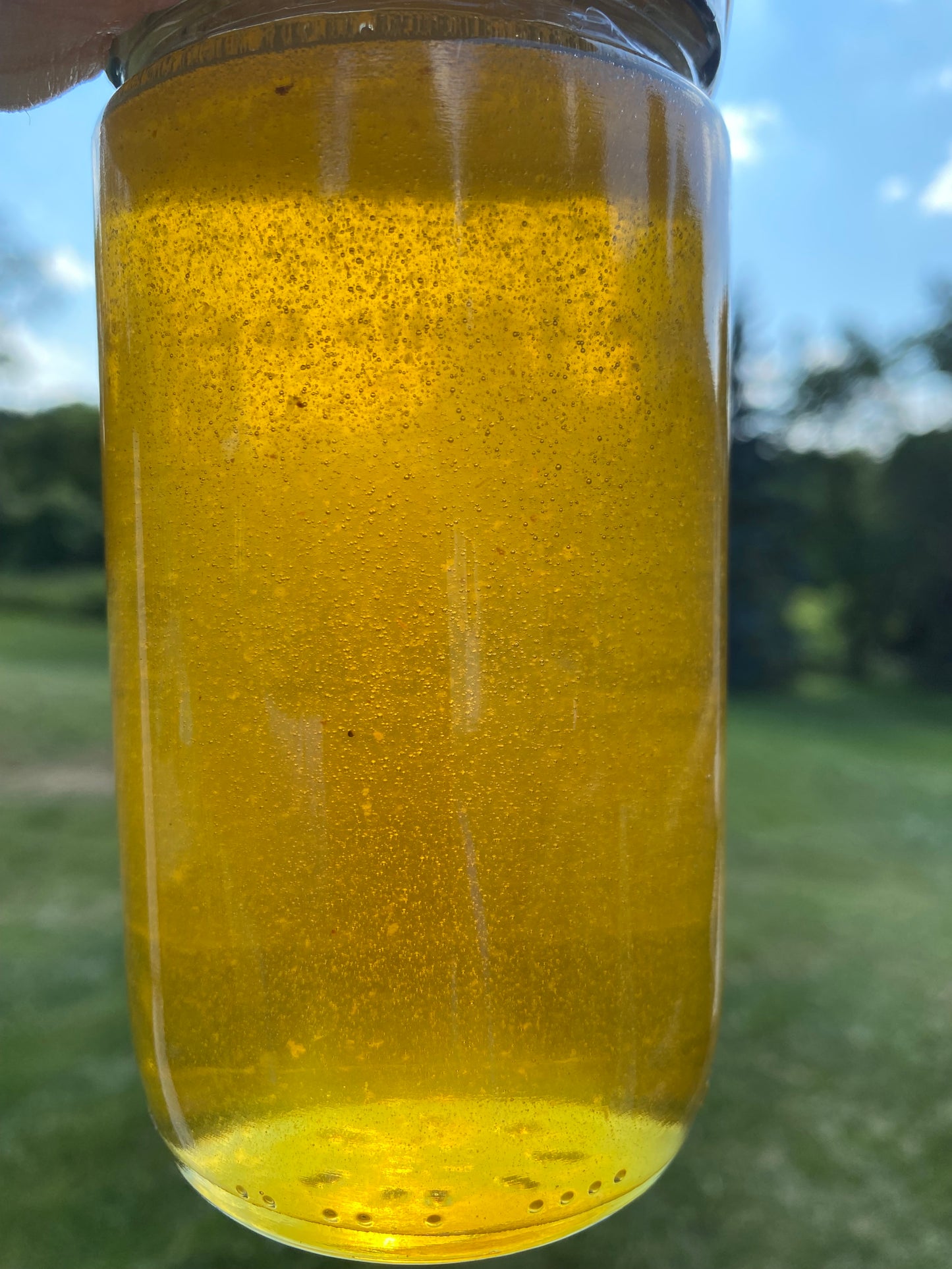 Raw Local Honey (Pickup Only!)